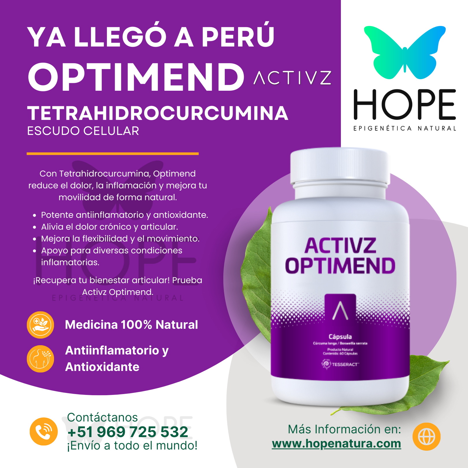 OPTIMEND Escudo Celular B4