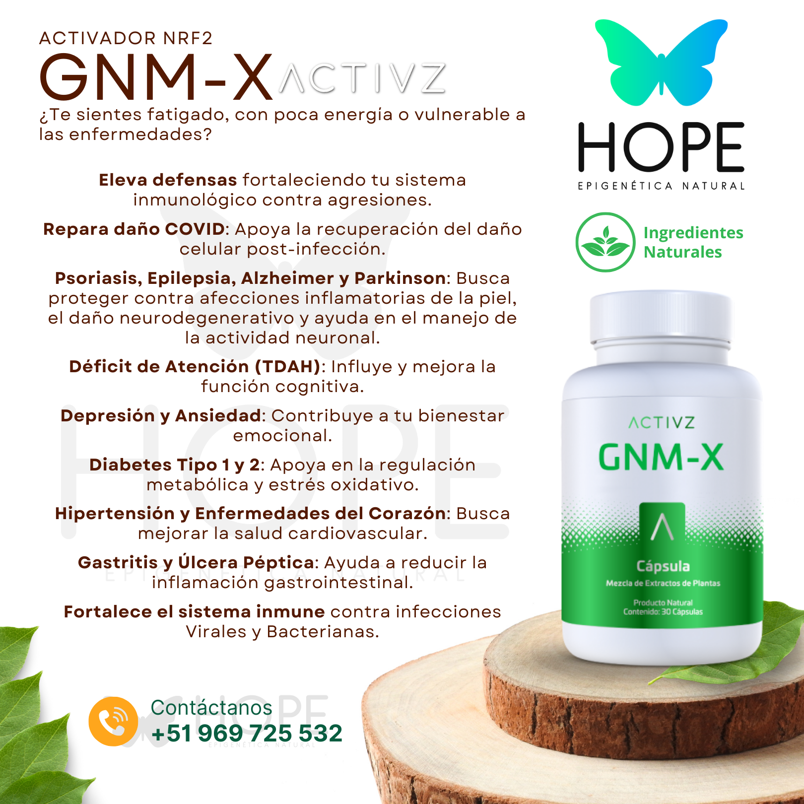 GNM-X Activador NRF2 B1