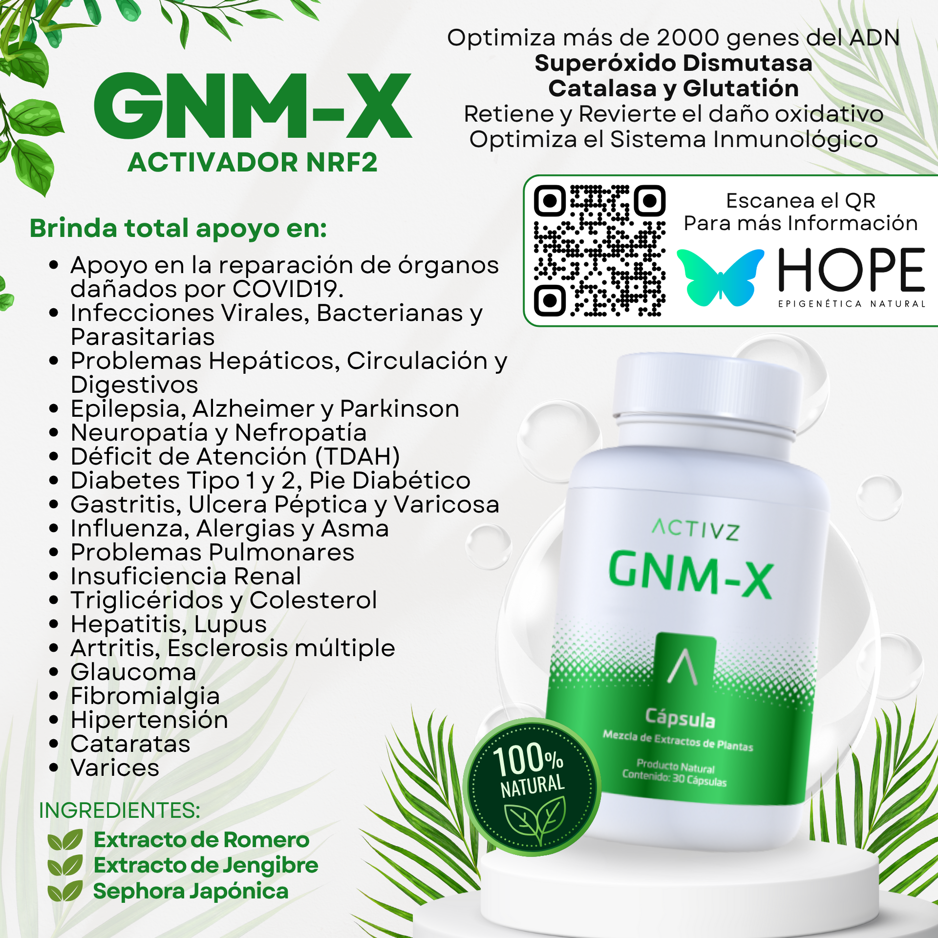 GNM-X Activador NRF2 B3