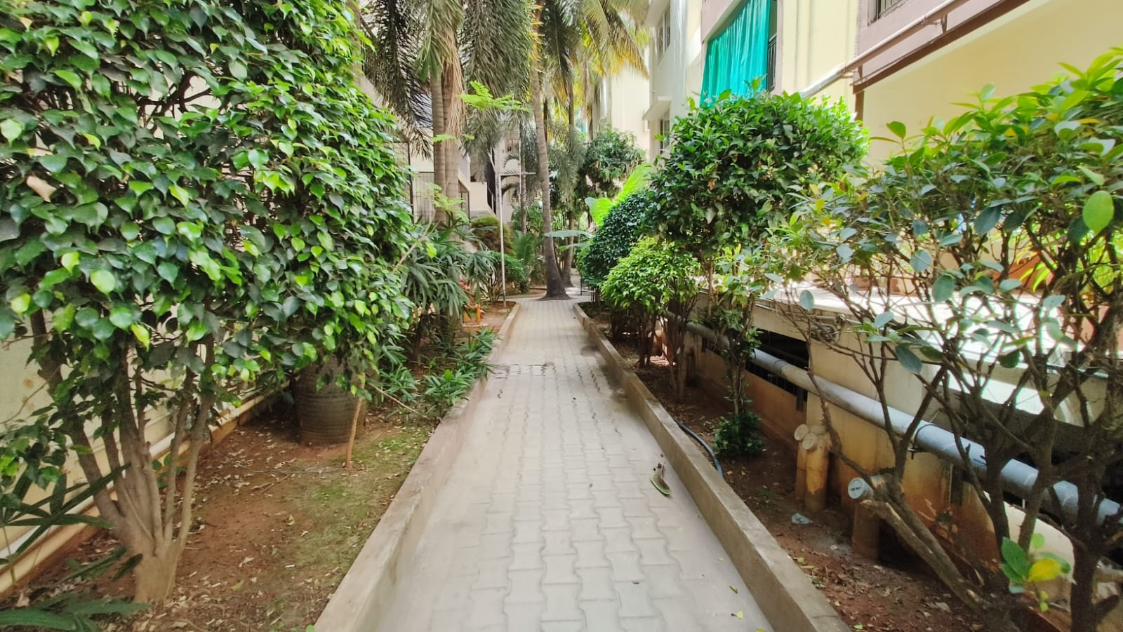 3BHK Flat for Sale in Bellandur - 15