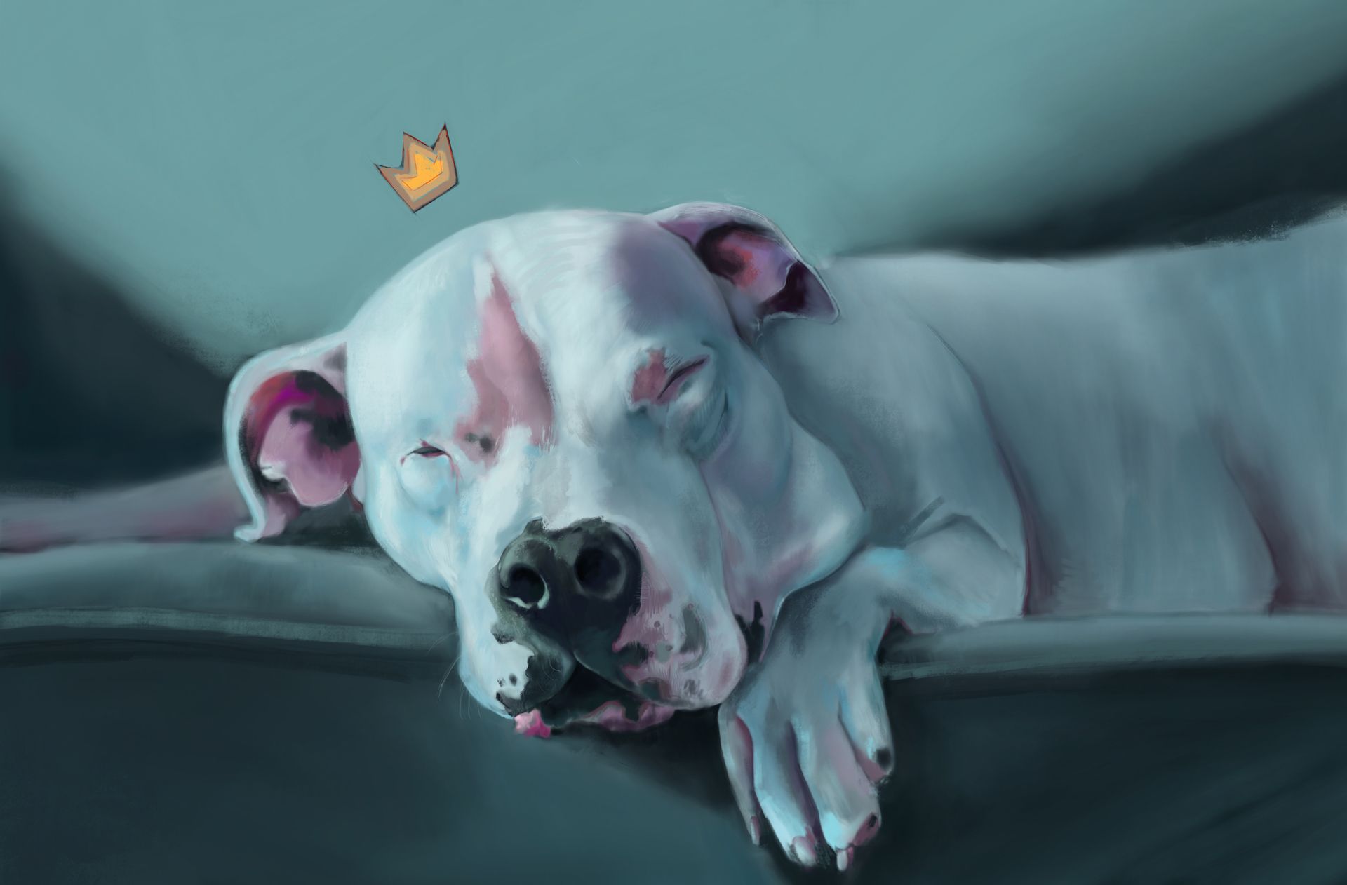 art-pet-02.jpg