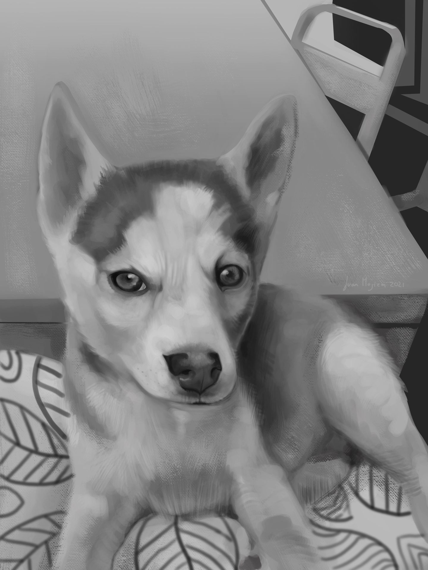 art-pet-02.jpg