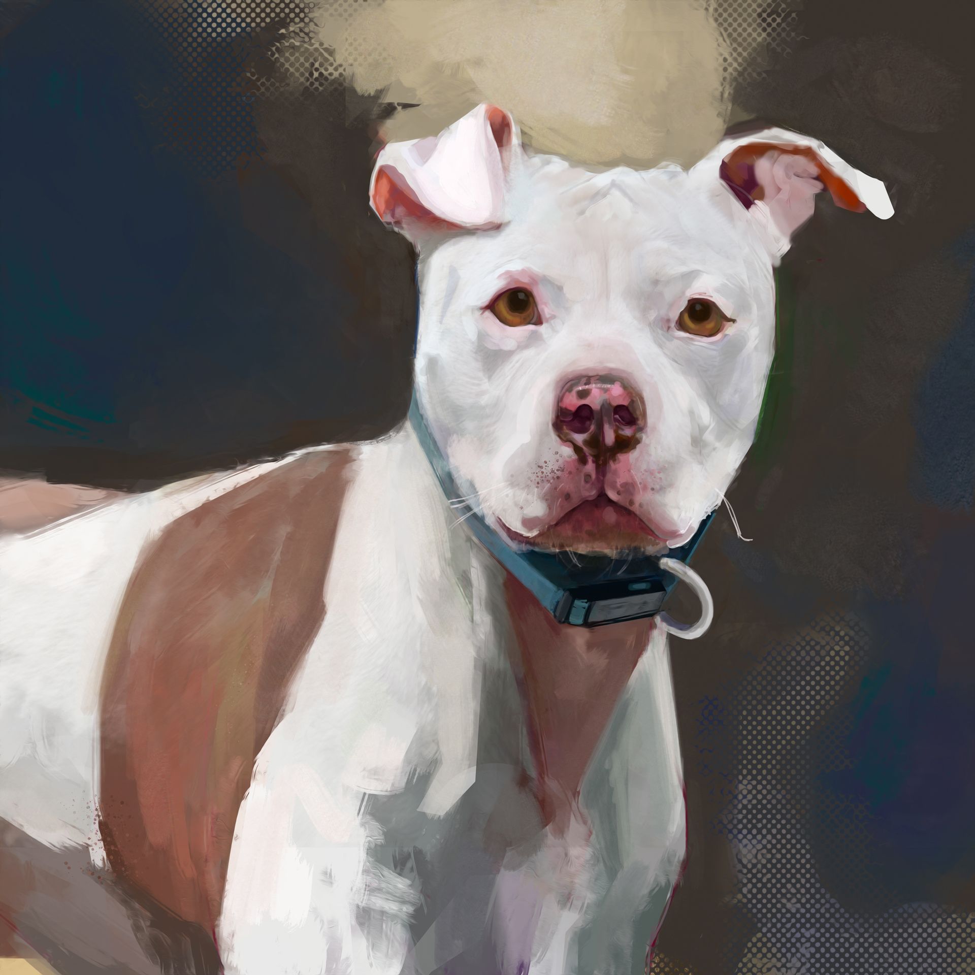 art-pet-01.jpg