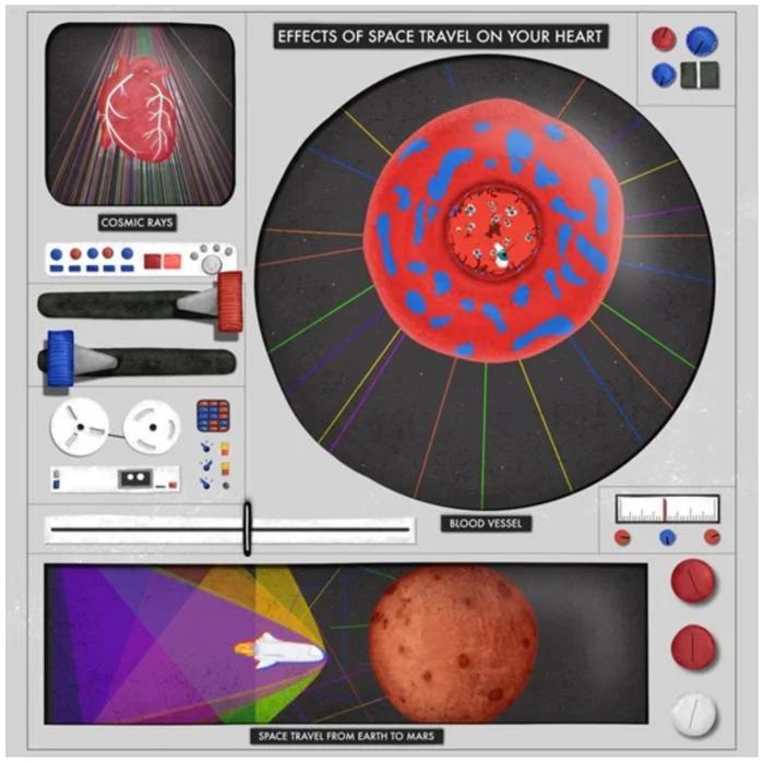 Radiation, Not Weightlessness, Drives Lasting Heart Damage in Deep Space Study