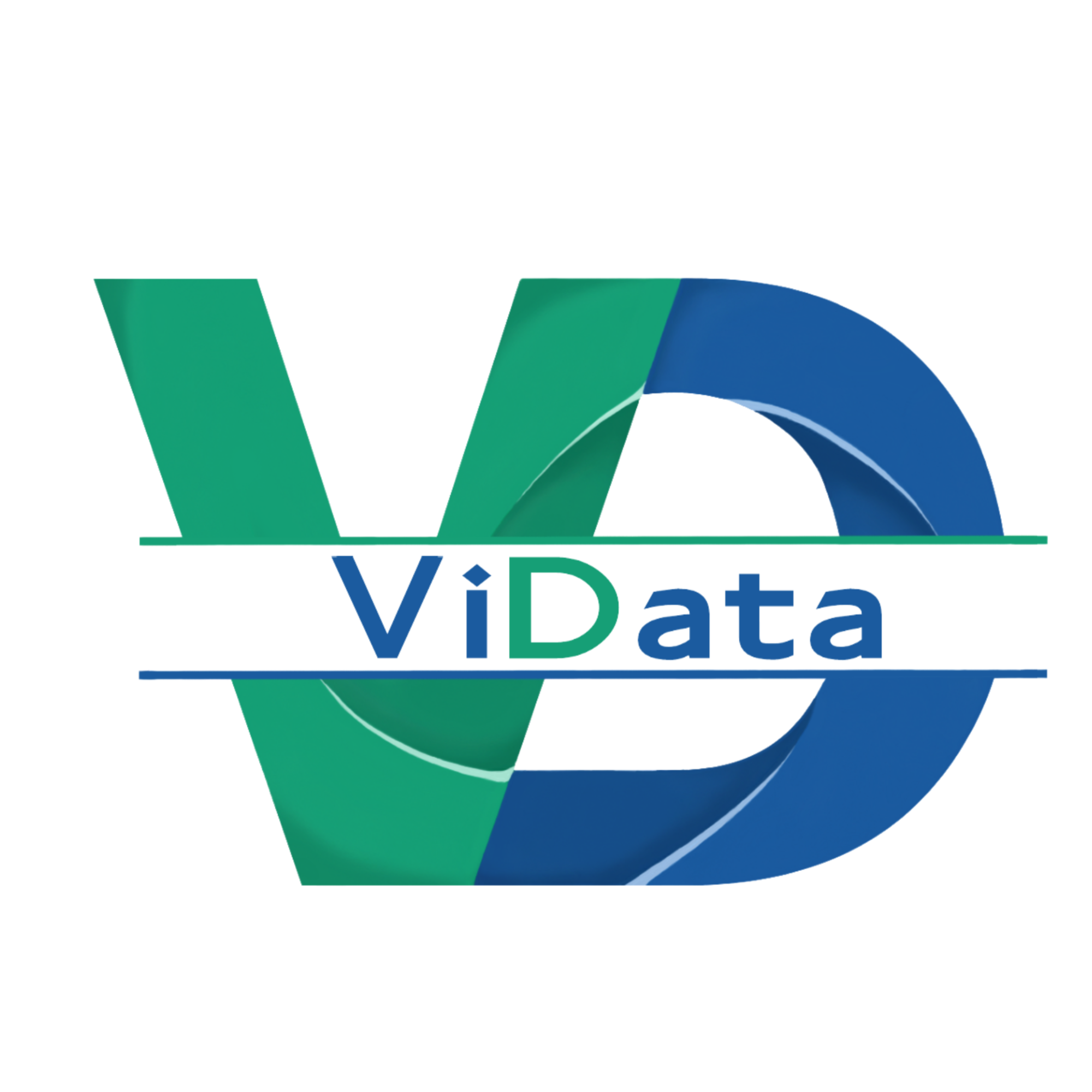 Logo ViData