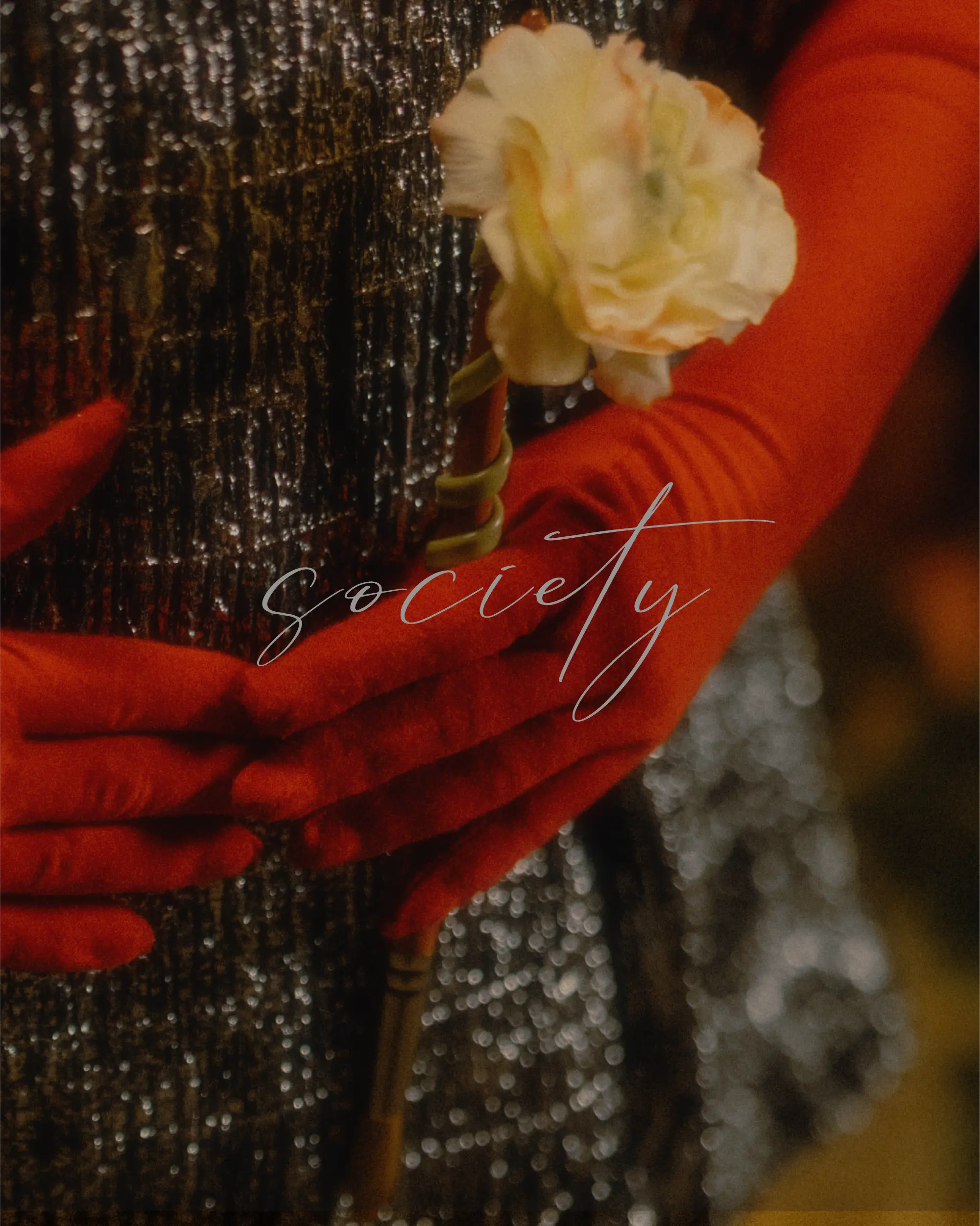 YSABEL SOCIETY Brand