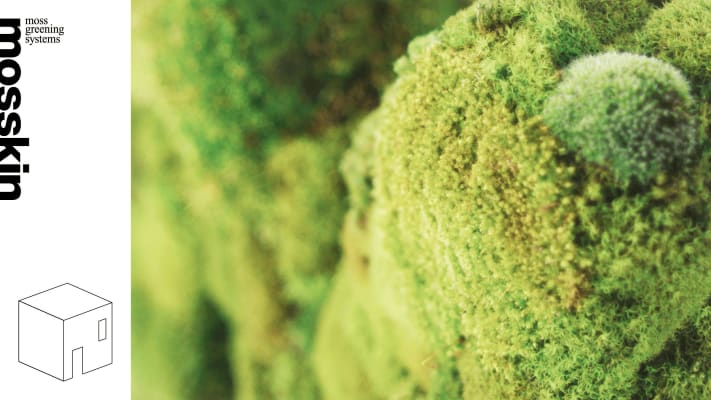 moss greening system - [Pianta Pianta terrestre Erba]