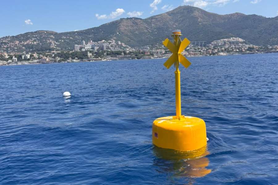 Description: Boa di Sturla