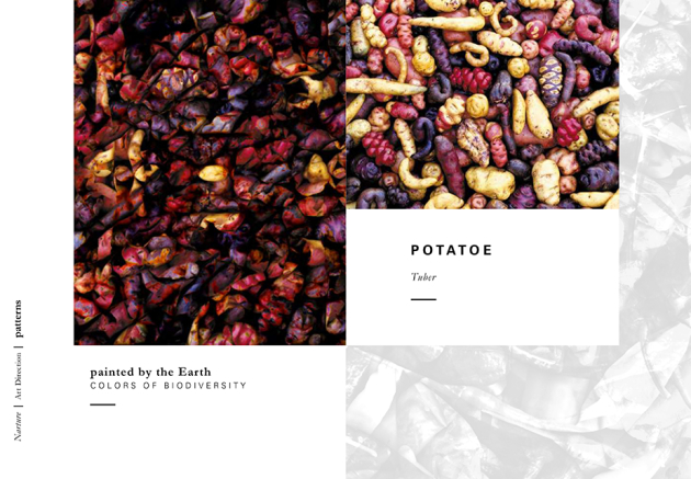 portfolio_img
