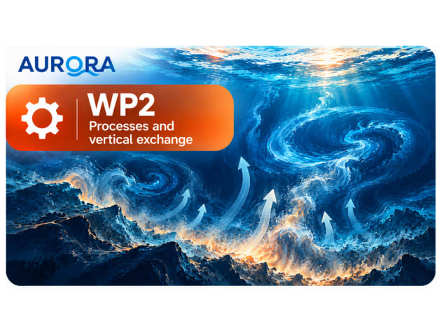 Description: WP2_card_stessa_scala_WP3