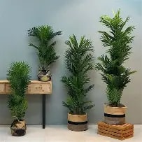 الشجر الصناعى