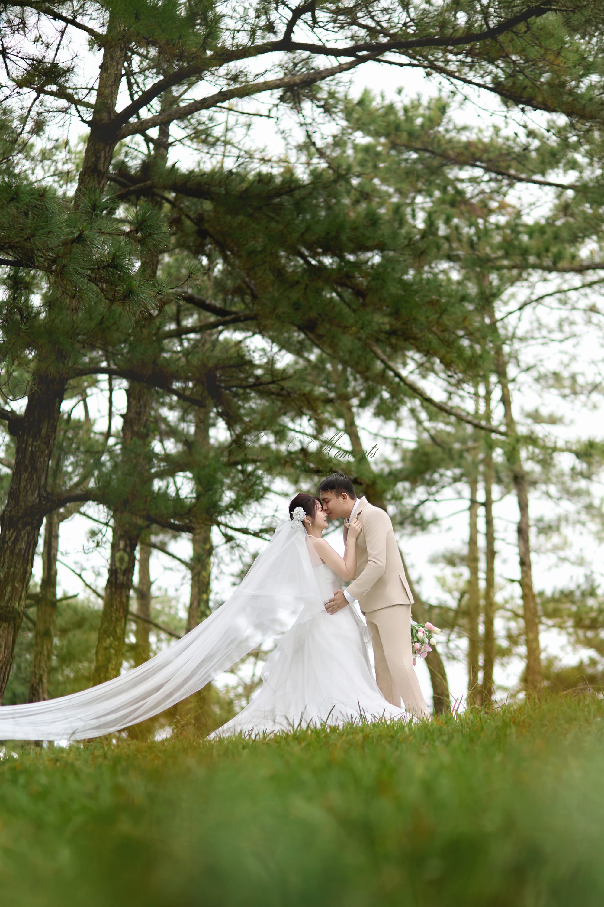 Wedding Photo