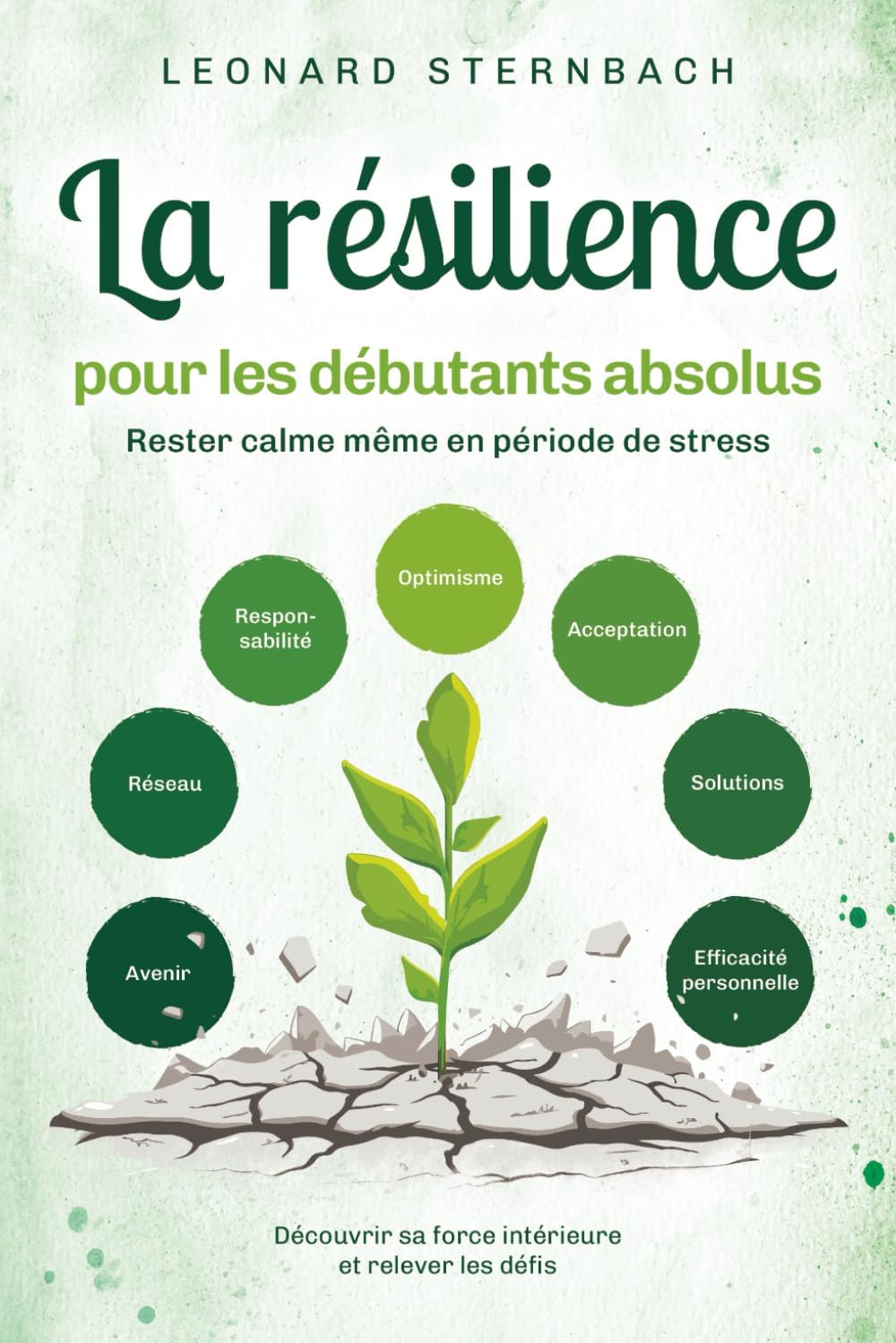 Vue 5 de Psychologie Positive Feminine Guide