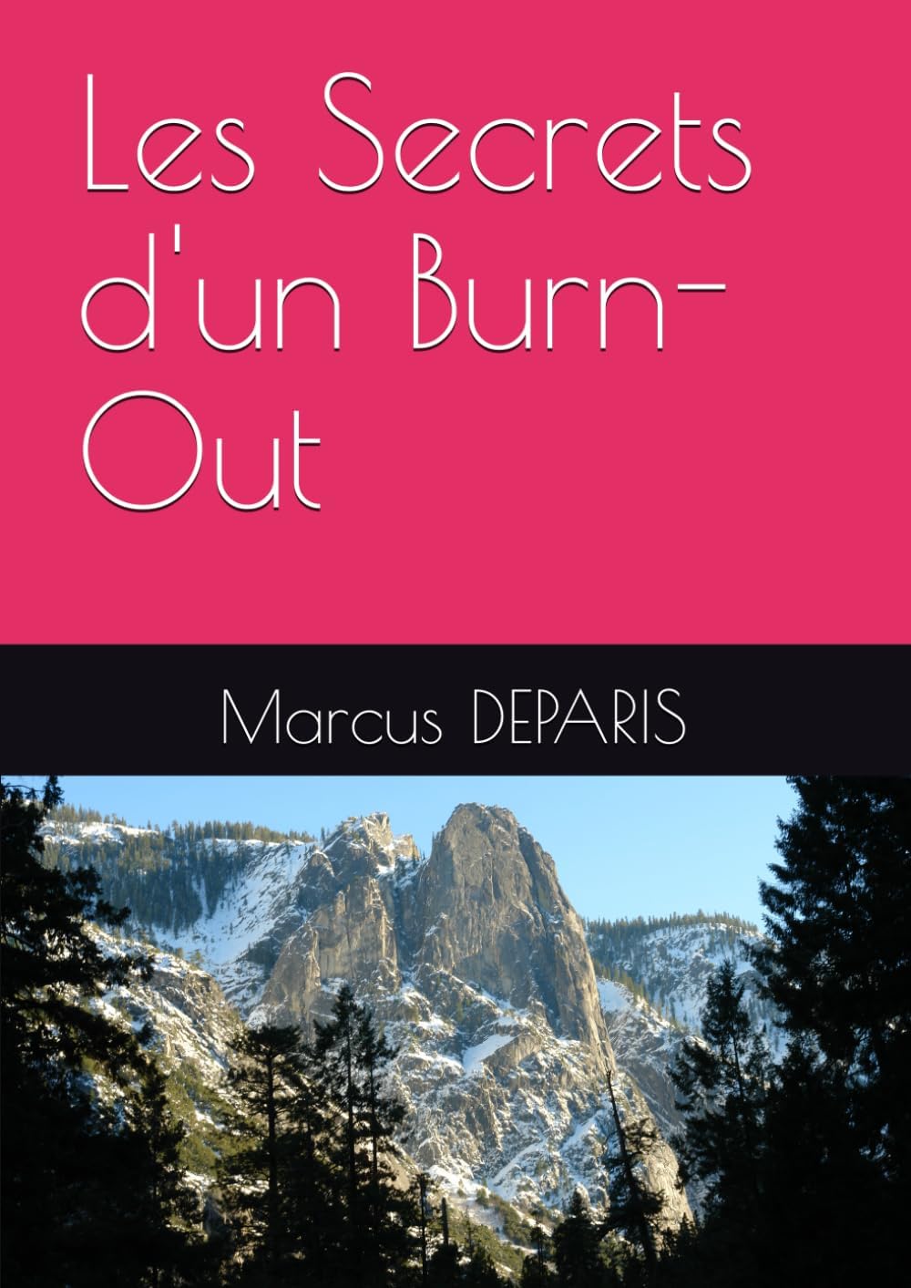 Vue 6 de Guide Du Burnout
