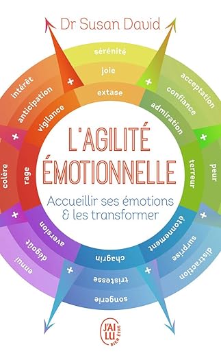 Lagilite Emotionnelle Accueillir Ses