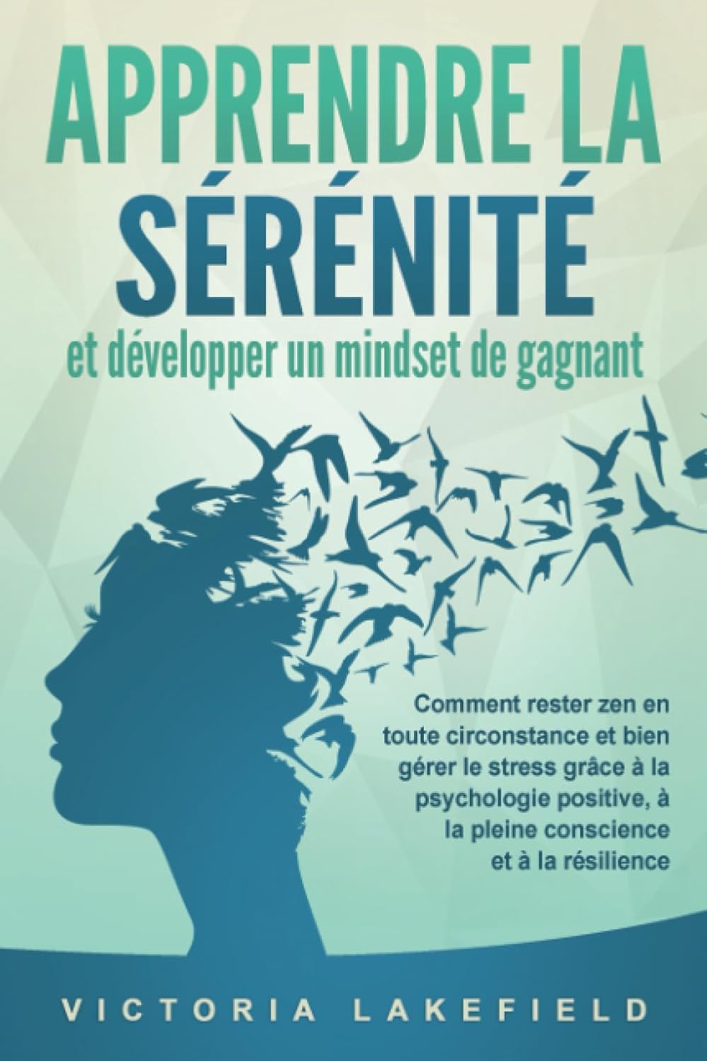 Vue 4 de Resilience Les Piliers De