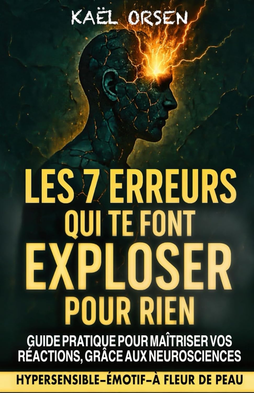 Vue 6 de Lagilite Emotionnelle Accueillir Ses