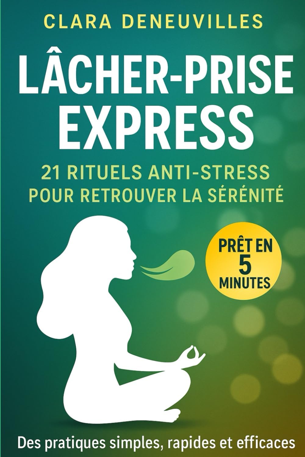 Vue 2 de Mon Programme Antidepression