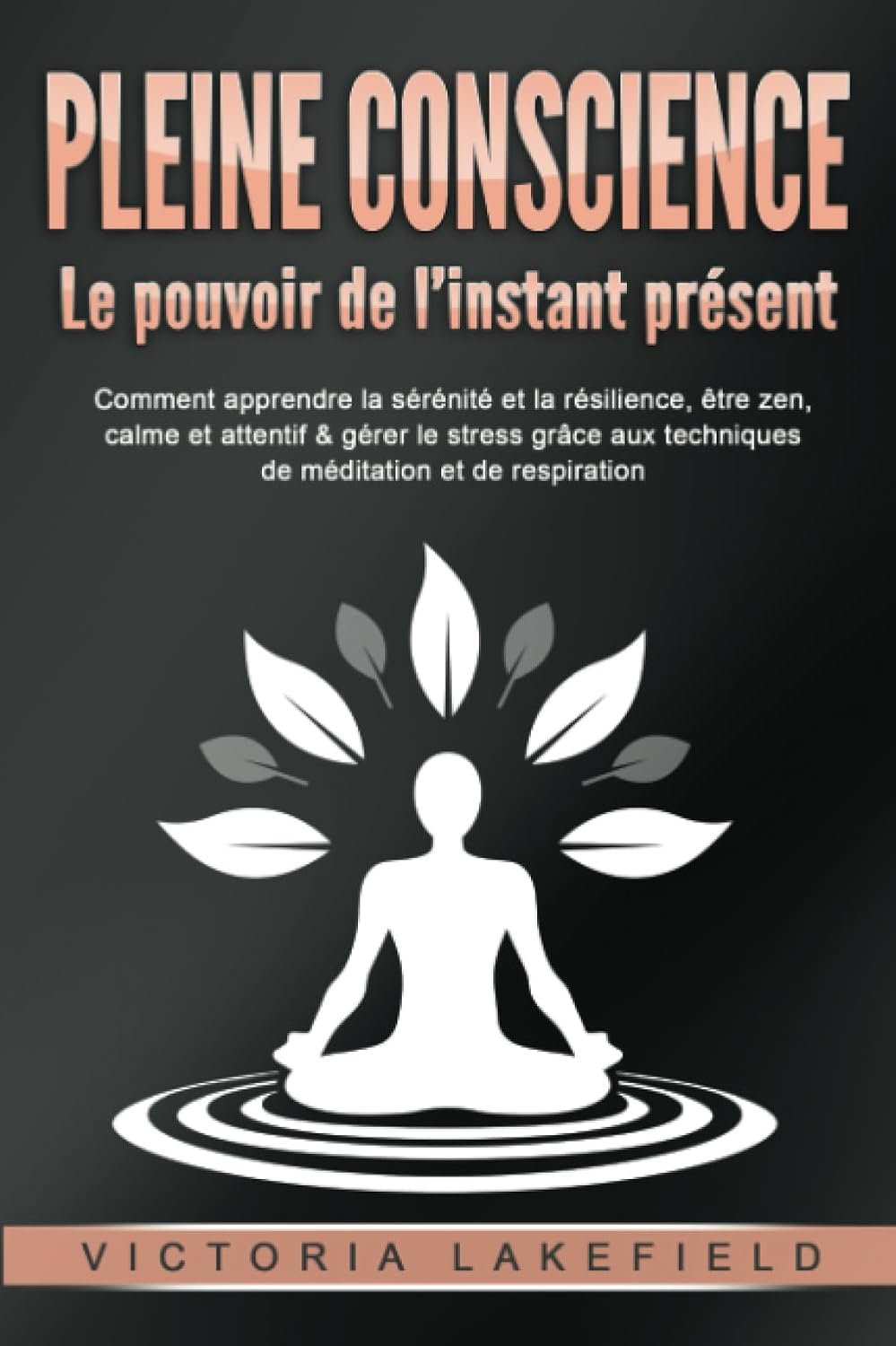 Vue 4 de Le Miracle De La