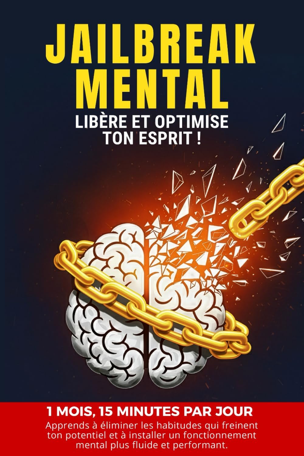 Vue 4 de Mon Programme Antidepression