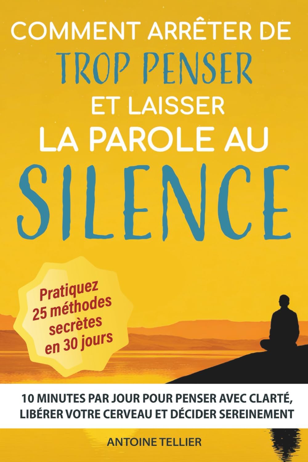 Vue 3 de Comment Arreter De Trop