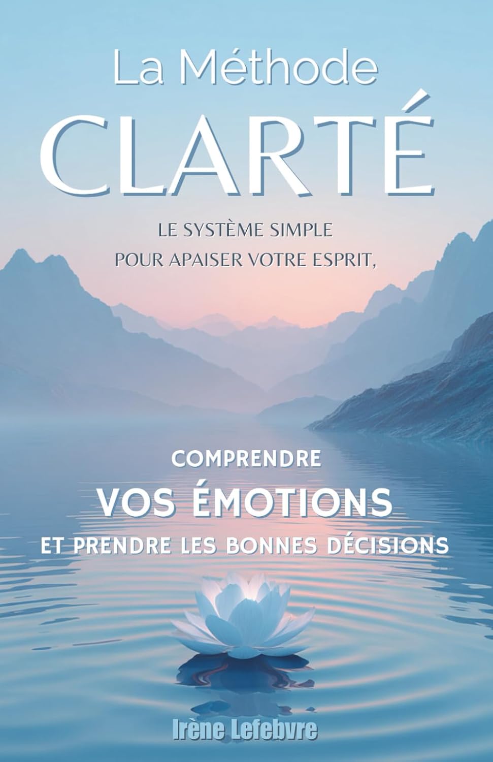 Vue 6 de Manie Et Depression Comprendre