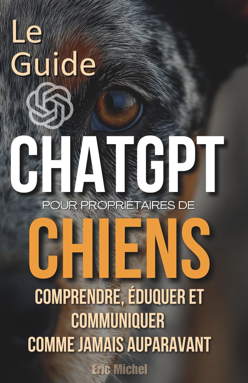 Vue 7 de Manie Et Depression Comprendre