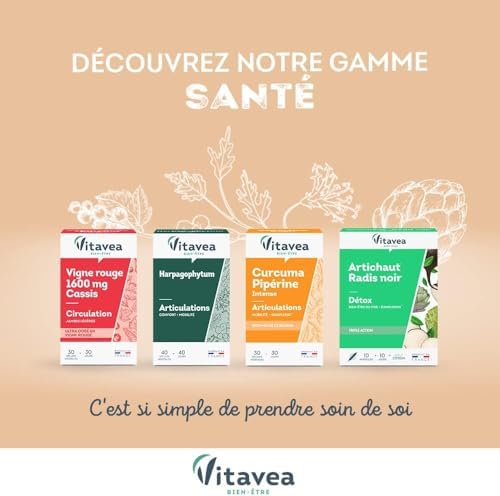Vue 5 de Vitavea Bienetre Moralboost Complement