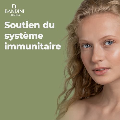 Vue 3 de Bandini Vitamine Ui