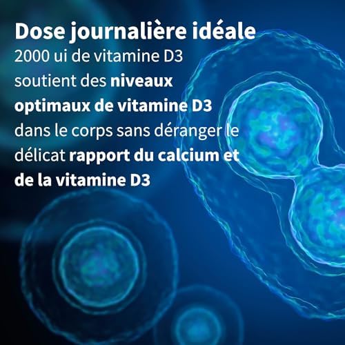 Vue 3 de Vitamine Quotidienne Ui