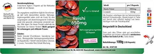 Vue 2 de Poudre De Reishi Mg