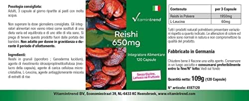 Vue 6 de Poudre De Reishi Mg