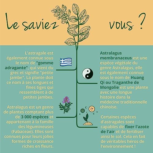 Vue 5 de Astragale Bio Vegavero Qualite