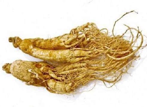 Vue 4 de Ginseng Bresilien Bio Gelules