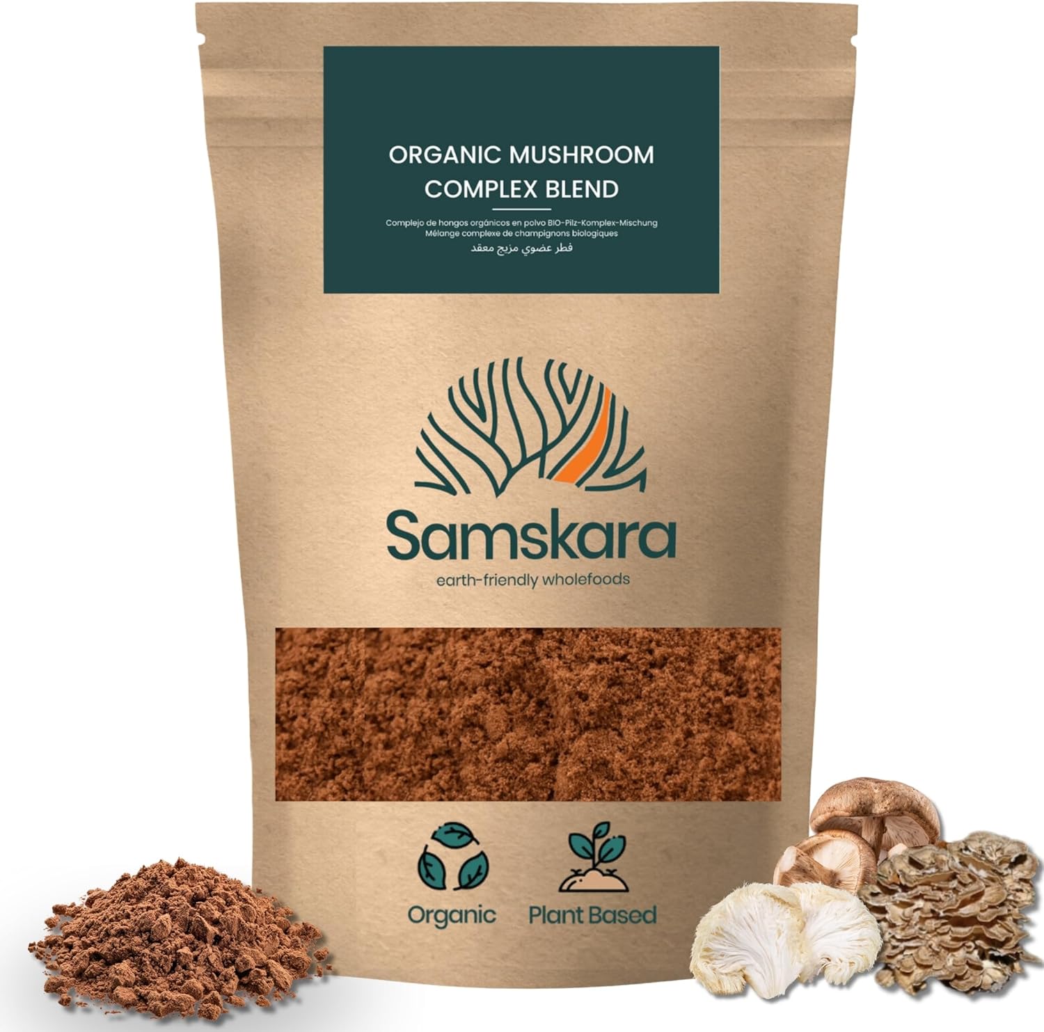 Complexe De Champignons En