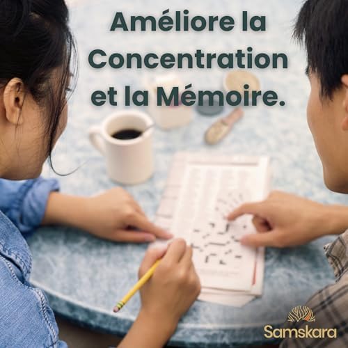 Vue 3 de Complexe De Champignons En