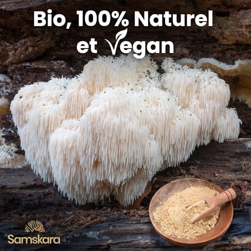 Vue 4 de Complexe De Champignons En