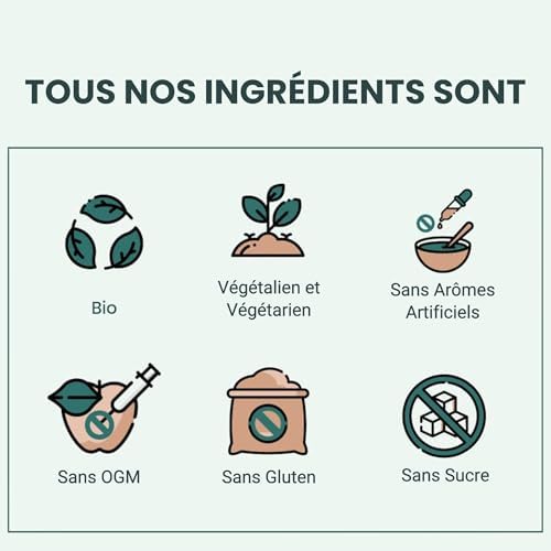 Vue 6 de Complexe De Champignons En