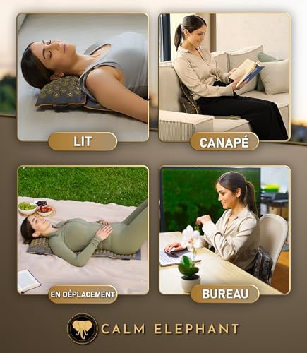 Vue 6 de Calm Elephant Original Xl