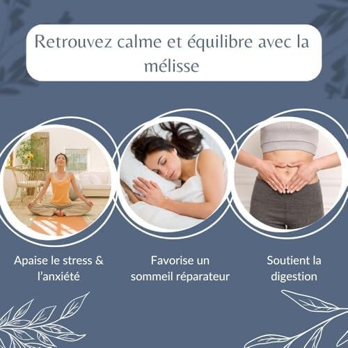 Vue 2 de Feuilles De Melisse Bio