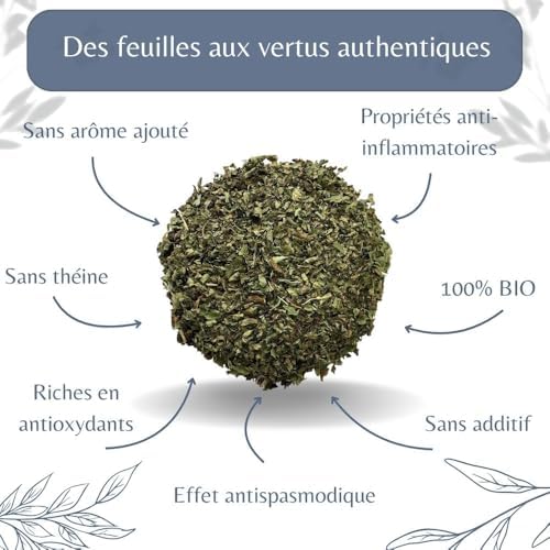 Vue 3 de Feuilles De Melisse Bio