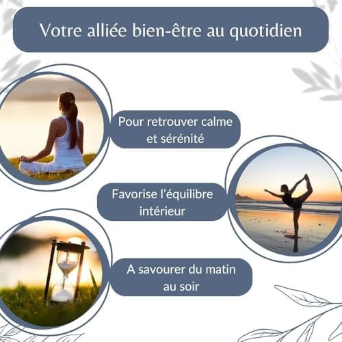 Vue 6 de Feuilles De Melisse Bio