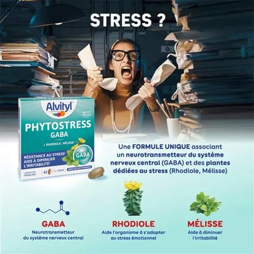 Vue 3 de Alvityl Phytostress Gaba Rhodiole