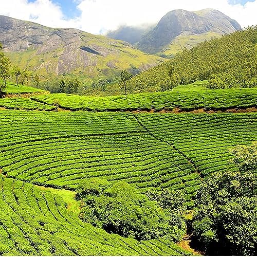 Vue 7 de Luxe Offre Exclusive