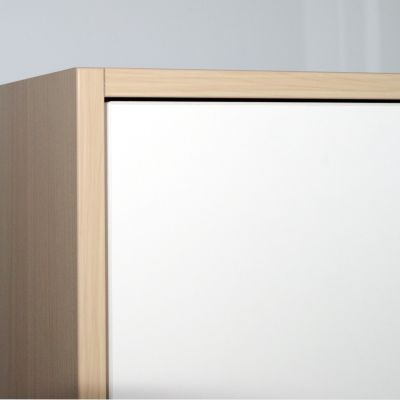 cabinet with inset door