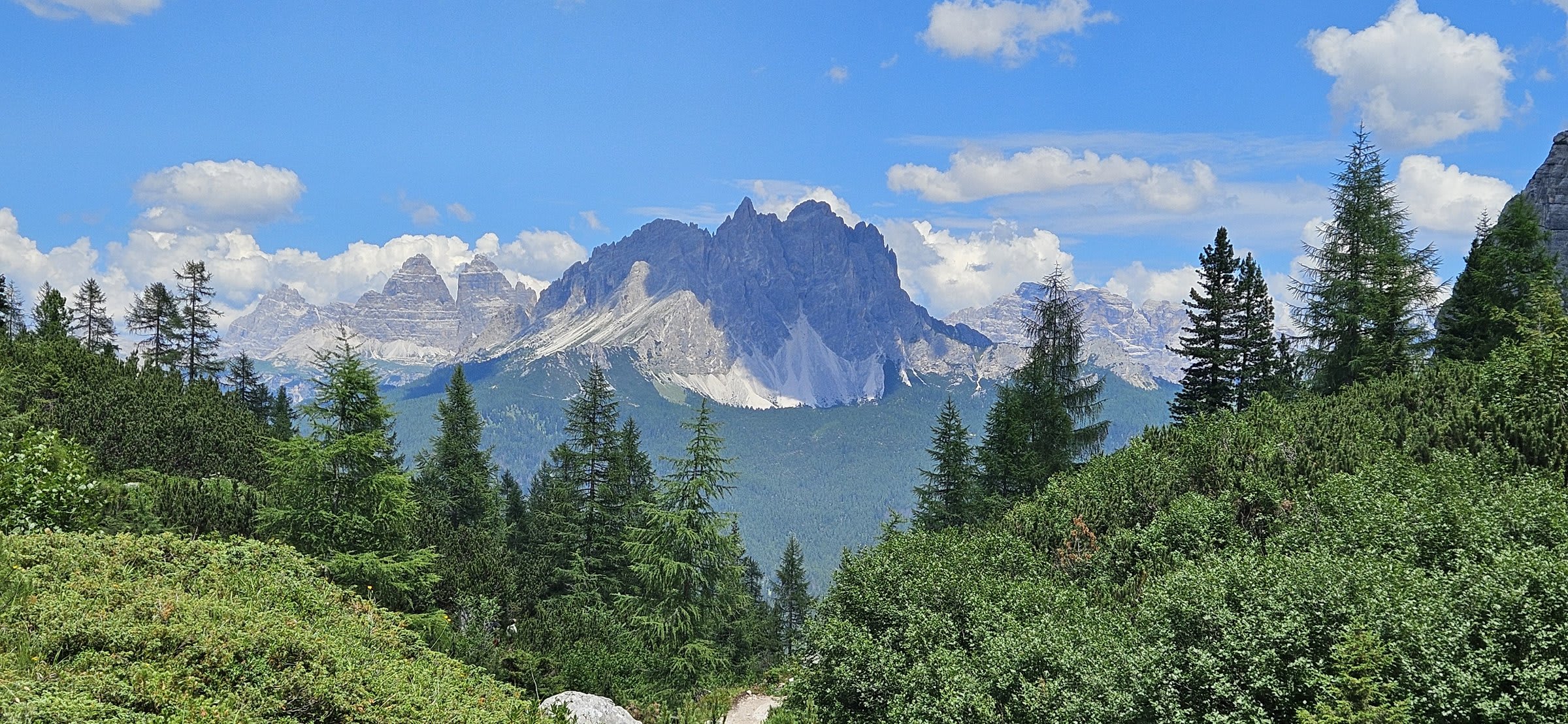 Hikers beginning the gentle first section of the trail through forest