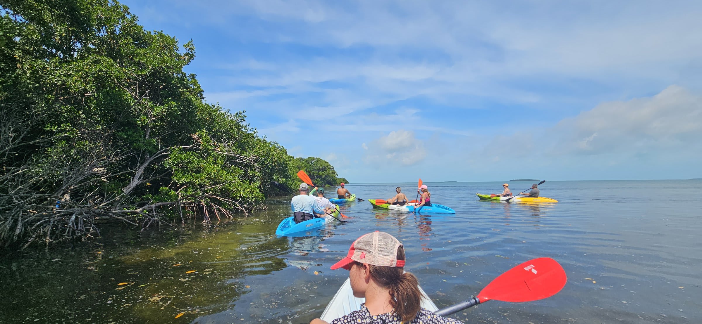 Holding a small sea creature during the mangrove kayak tour