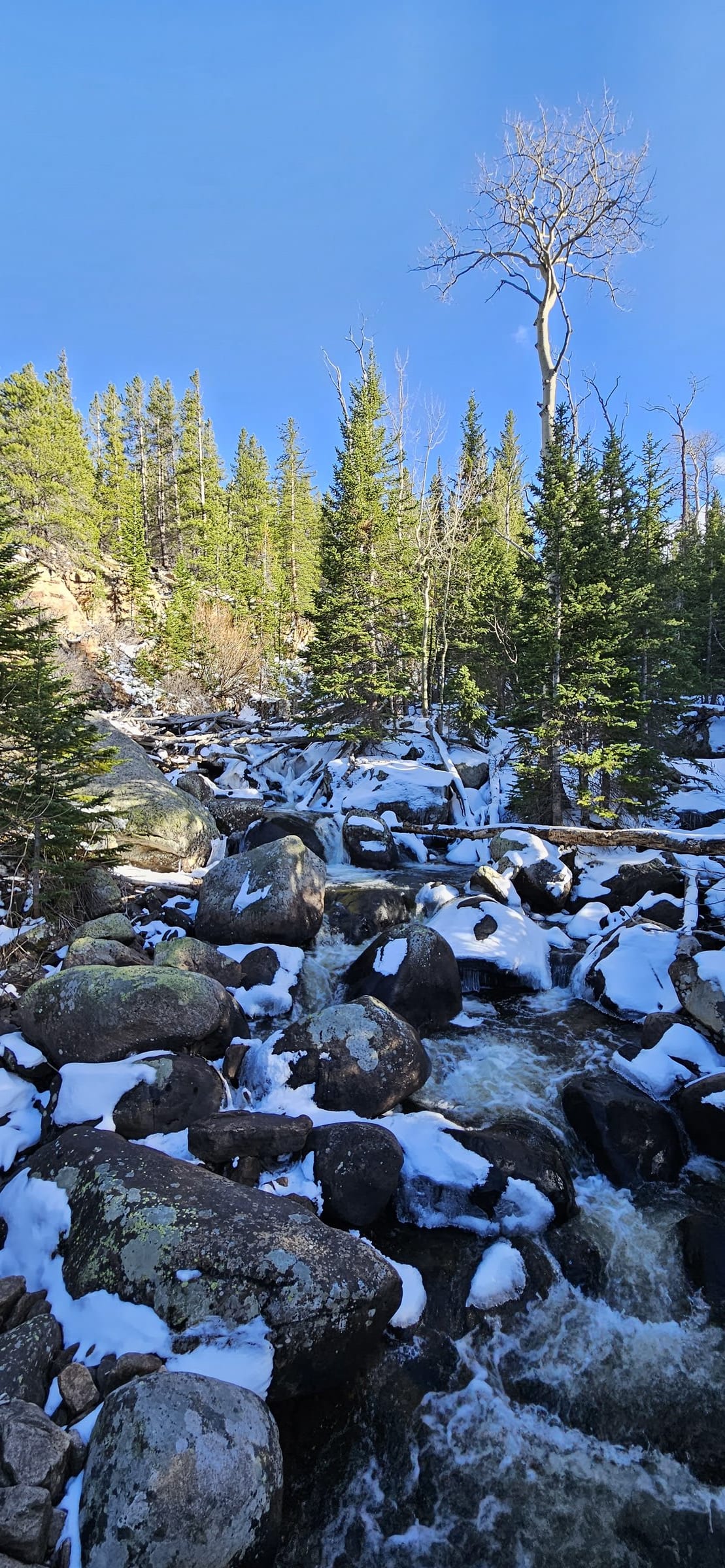 Wooden bridge over a snowy creek in the late afternoon light