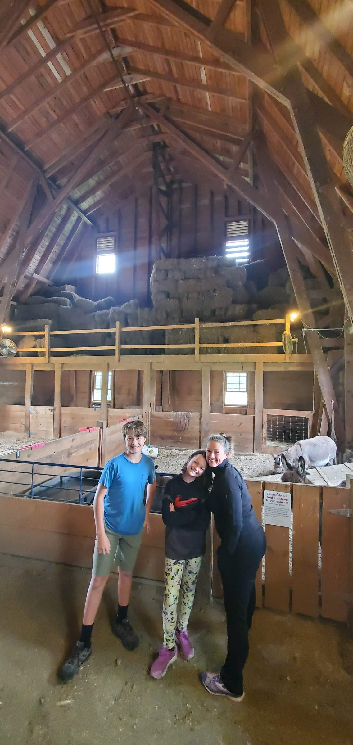 Meeting the donkeys inside the barn at Mountain View Farm