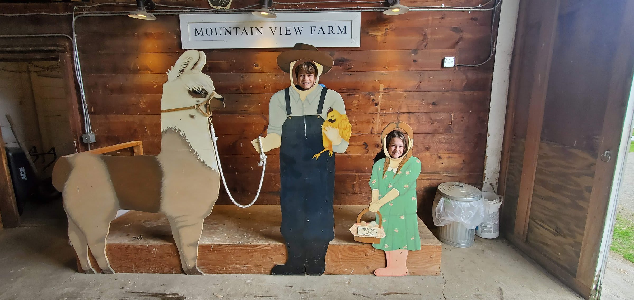 Kids posing at the Mountain View Farm photo cutout with a llama and chicken